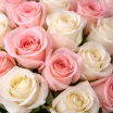 Амур – букет из высоких кремовых и розовых роз (70 см) 3